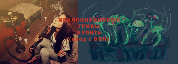 сатива Абаза