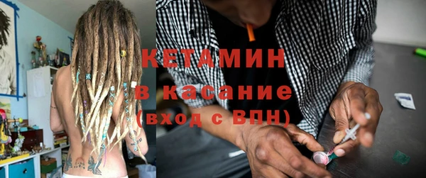 хмурый Пересвет