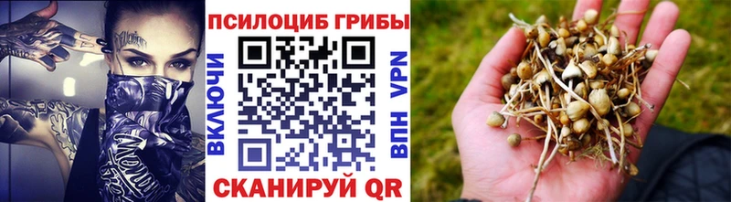 даркнет как зайти  Ивантеевка  Галлюциногенные грибы мухоморы 